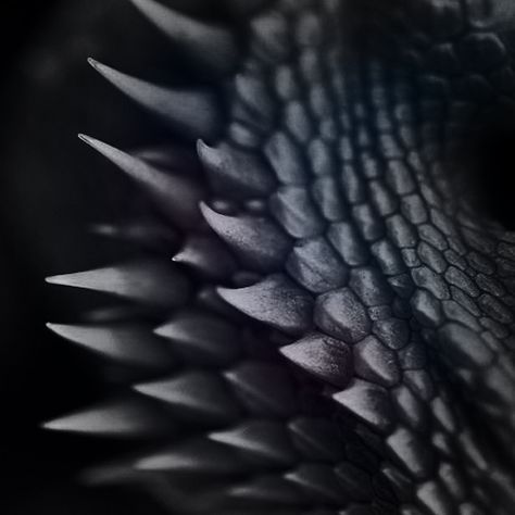 From a distance they looked black but up close they were a dark shade of purple Shade Of Purple, Dragon Scales, Dragon Rider, Dragon Wings, Dragon Scale, Final Fantasy Xiv, Black Dragon, Throne Of Glass, High Fantasy