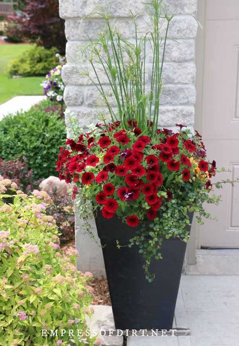 Give the front of your house a boost with these planter ideas. With photos from home gardens, there are lots of inexpensive ways to add colorful container plants including window boxes. Zuppa Toscana Soup Olive Garden, Front Porch Flower Pots, Front Porch Flowers, Porch Plants, Patio Flowers, Porch Flowers, Front Gardens, Container Garden Design, Porch Planters