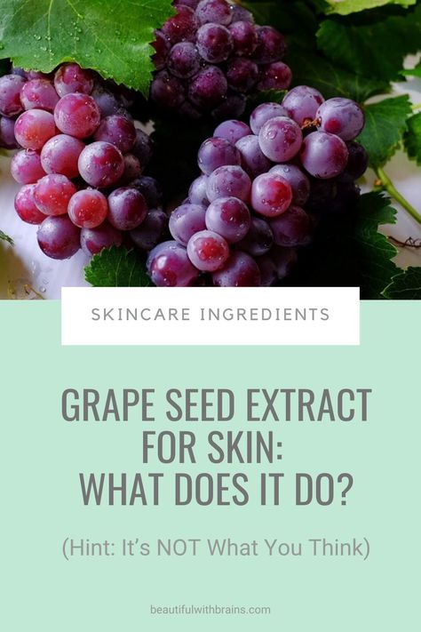 Have you heard? The French swear a glass of red wine at dinner is the secret behind their youthful complexion. I don’t drink wine (boring teetotal here!), so I need to get my fix in another way. And that got me wondering… What if I add grape seed extract to my skincare routine? Here's what the science says... #skincareingredients #naturalingredients Grapeseed Extract Benefits, Skincare Habits, Skin Diet, Glass Of Red Wine, My Skincare Routine, Routine Skincare, Suncare, Grape Seed Extract, Anti Aging Ingredients