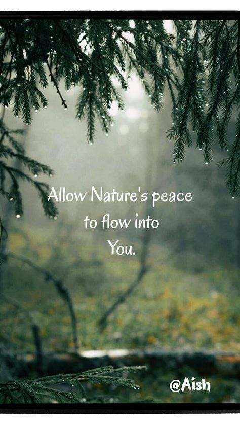 #Peace #SaveNature Nature, Forest Bathing Quotes, Beautiful Weather Quotes, Love Nature Quotes, Nature Quotes Beautiful, Peace Pictures, Nature Quotes Inspirational, Environment Quotes, Hindi Thoughts