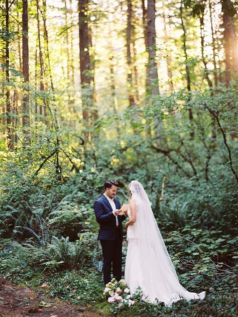 Relaxed Elopement in the Redwoods Oregon Redwoods, Forrest Weddings, Climbing Wedding, Spring Woodland, Portland Wedding Venues, Small Wedding Photography, Elopement Bride, Erich Mcvey, Forest Elopement