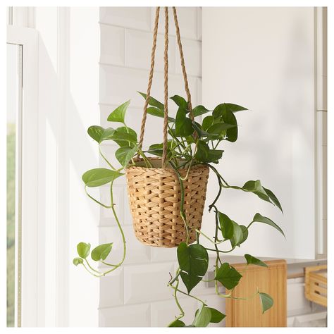 FRIDFULL hanging planter, water hyacinth, 4 ¾ ". Decorate your home with beautiful objects from nature. This plant pot is handwoven from water hyacinth that is harvested to help keep tropical waterways free and maintain the natural flow of water. Pot: Water hyacinth. Hanging Fake Plants Indoor Bedroom, Hanging Plant Nursery, Fake Hanging Plants Bedroom, Hanging Plant Bedroom, Hanging Plants Living Room, Bathroom Hanging Plants, Plant Hanger Window, Ikea Hanging Planter, Hanging Plants Decor