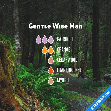 Gentle Wise Man — Essential Oil Diffuser Blend Men Essential Oil Blends, Masculine Diffuser Blends, Essential Oil Blends For Men, Masculine Essential Oil Blends, Masculine Fragrance Oil Blends, Essential Oil Blends For Men Soap, Middle Earth Essential Oil Blend, Essential Oil Cologne, Essential Oil For Men