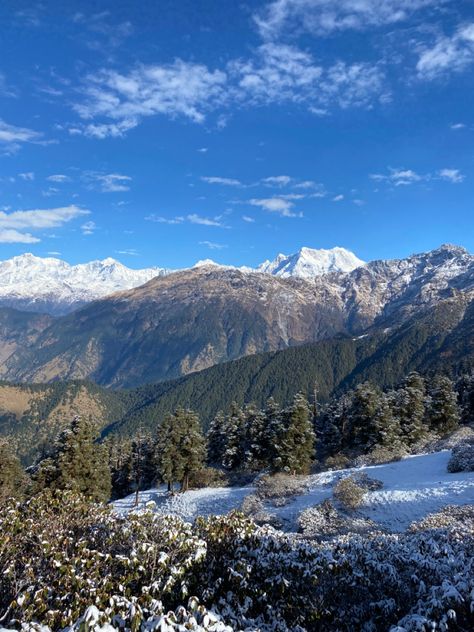 Uttarakhand chopta #uttarakhand #indiatravel #shotoniphone #snowfall Chopta Uttarakhand, Gangtok, Haridwar, India Travel, Travel, Quick Saves