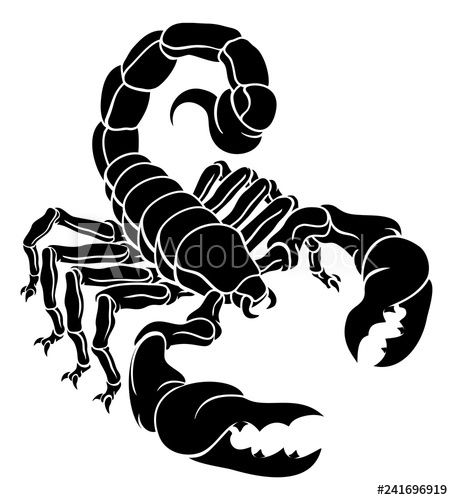 Scorpion Scorpio zodiac animal sign design graphic - Buy this stock vector and explore similar vectors at Adobe Stock Scorpio Logo Design, Para Sf, Love Symbol Tattoos, Scorpio Art, Zodiac Sign Designs, Bird Template, Scorpio Zodiac Sign, Scorpio Tattoo, Monogram Vinyl Decal