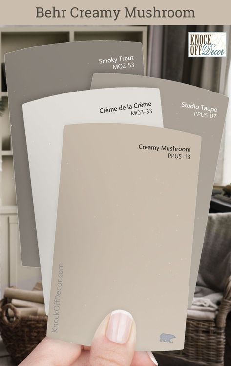 Behr Creamy Mushroom Review + My 30 Favorite Coordinating Color Palettes Check more at https://creativedecordesign.com/2024/06/28/behr-creamy-mushroom-review-my-30-favorite-coordinating-color-palettes/ Maybe Mushroom Paint Color, Creamy Grey Paint Colors Behr, White Taupe Paint Color, Light Taupe Color Palette, Coordinating Interior Paint Colors, Mocha Light Behr Paint, Parisian Taupe Behr, Taupe Color Palettes Kitchen, Behr Neutral Pink Paint Colors