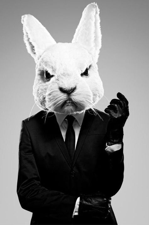 "Yeah. I got yer eggs right here, pal." Foto Poses, Foto Art, Animal Heads, 영감을 주는 캐릭터, White Rabbit, Pics Art, Prince Charming, Suit And Tie, 귀여운 동물