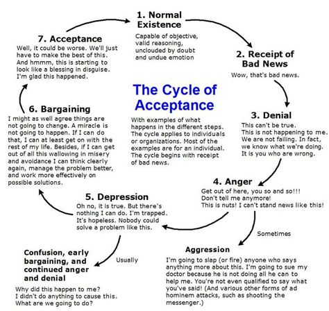 Cycle of Acceptance                                                                                                                                                                                 More Therapy Topics, Counseling Worksheets, Schindler's List, Radical Acceptance, Counseling Resources, Therapy Counseling, Health Journal, Therapy Worksheets, Therapy Resources