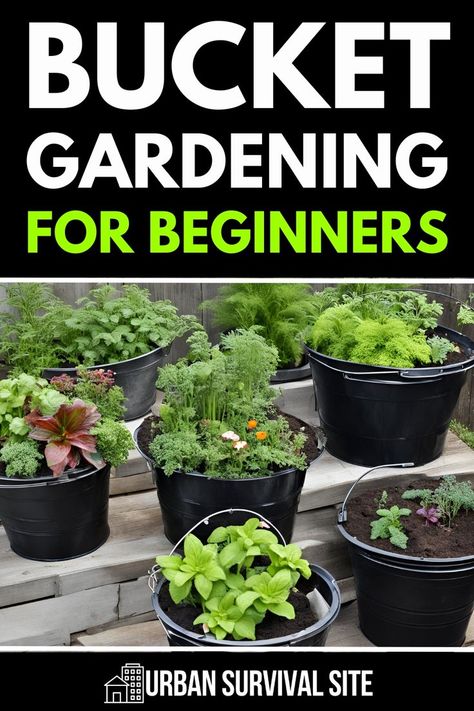 Anyone can start bucket gardening, but if you want to have a truly successful bucket garden, you need to know which plants to grow and how to care for them. In this guide to bucket gardening, we teach you how to grow herbs and veggies on your porch, balcony, or indoors. Bucket Gardening Ideas, Gardening In Buckets Ideas, Planting In Buckets Container Gardening, Bucket Garden, Vegetables In Buckets Container Gardening, 15 Foods You Can Grow In Buckets, Urban Gardening, Preparing Garden For Winter, Growing Vegetables Indoors