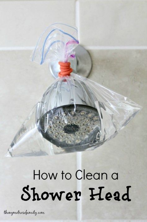 Deep Cleaning Hacks, Cleaning Painted Walls, Glass Cooktop, Bathroom Cleaning Hacks, Deep Cleaning Tips, Shower Cleaner, Clean Dishwasher, Toilet Cleaning, Simple Life Hacks