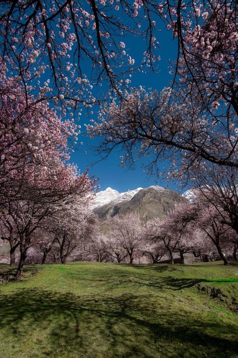 Hunza Valley Pakistan, Hunza Valley, Valley View, Paradise On Earth, Scenic Beauty, Best Western, Travel Tours, Nature Aesthetic, Travel Stories