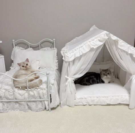 Cat Bedroom, Animal Room, Cute Bedroom Decor, Dream Apartment, My Future, Cat Room, Cute Room Decor, Room Inspiration Bedroom, Cat Furniture