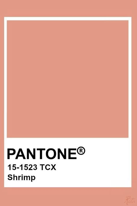 Pantone Orange, Pantone Tcx, Pantone Color Chart, Pantone Swatches, Pantone Palette, Pantone Colour Palettes, Pantone Colors, Color Chip, Color Palette Design