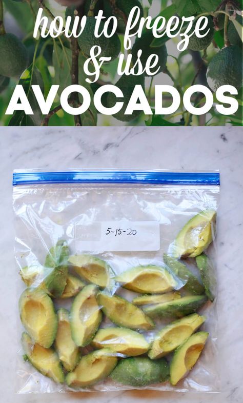 Have you ever wondered if you can freeze avocados? Or seen frozen avocado chunks at Costco and wondered how to use them? Keep reading to find out how to freeze and use avocados. How To Use Frozen Avocado, How To Use Avocado, Frozen Avocado Uses, How To Freeze Avocado, Can You Freeze Avocado, Avocado Chunks, Frozen Avocado, Gut Protocol, Freeze Food