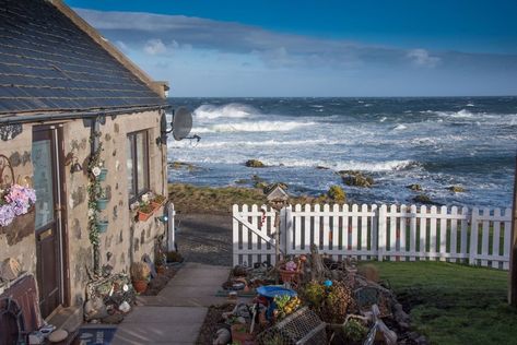 Pew with a View - Pet Friendly seafront cottage, secure shorefront garden Sea Side Cottage, Pictures Of Turtles, Garden By The Sea, Scottish Cottage, Cottage Design Plans, Cottages By The Sea, Cottage By The Sea, Sea Side, Vacation Inspiration