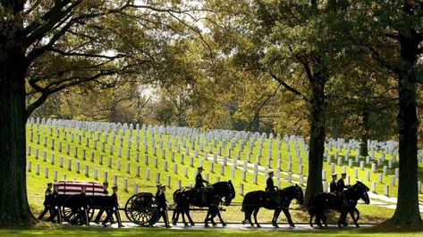 The return of horse-drawn caissons to Arlington National Cemetery is delayed for at least months Dc School Trip, Armed Forces Day, Unknown Soldier, Constitution Day, Arlington National Cemetery, God Bless The Usa, National Cemetery, Veteran's Day, Horse Drawn