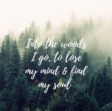 In To The Woods Quotes, Walk In The Woods Quotes, Cabin Quote, 2025 Bujo, Blue Porch, Forest Quotes, Go Tattoo, Into The Woods Quotes, John Muir Quotes