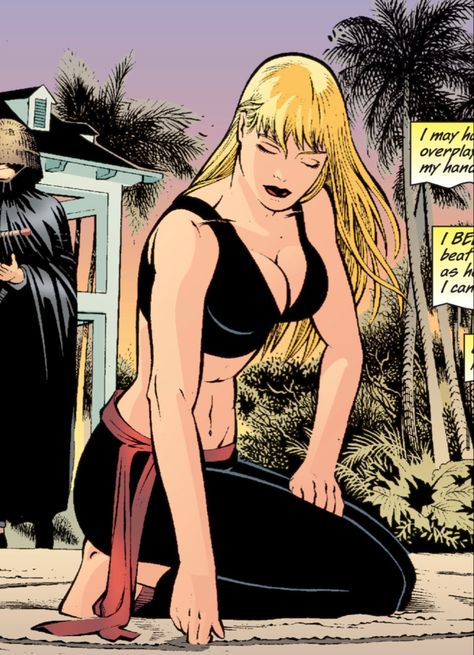 dinah lance Dinah Lance, Dinah Laurel Lance, Lance Black, Black Canary, Fitness Models Female, Dc Characters, Comic Panels, Dc Comics Art, Dc Universe