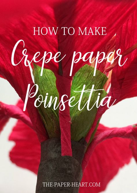 Crepe Paper Decorations, Paper Poinsettia, Big Paper Flowers, Poinsettia Plant, Paper Decorations Diy, Paper Flower Wreaths, How To Make Crepe, Paper Peonies, Paper Plants