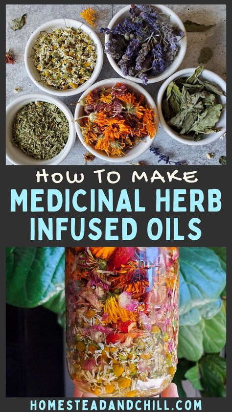 Learn how to make medicinal herb infused oils with fresh or dry herbs using a slow cold infusion or the quick heat method. It's easy to do, and once you know the basics, the options of what you can create are endless! Face oil, salves, soap...oh my! #herbalism #herboil #infusedoil #herbs #herbgarden #naturalhealth #naturalskincare #plantmedicine Herb Infused Tallow, Herb Infused Oils, Medicinal Oils, Medicine Garden, Herbal Medicine Recipes, Herbal Remedies Recipes, Diy Herbal Remedies, Medicinal Herbs Garden, Dry Herbs