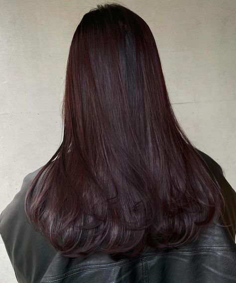 Black And Wine Red Hair, Grape Soda Hair, Black And Cherry Red Hair, Dark Chocolate Red Hair, Asian Colored Hair, Wine Burgundy Hair Color, Dark Wine Hair, Cherry Black Hair, Cherry Wine Hair Color