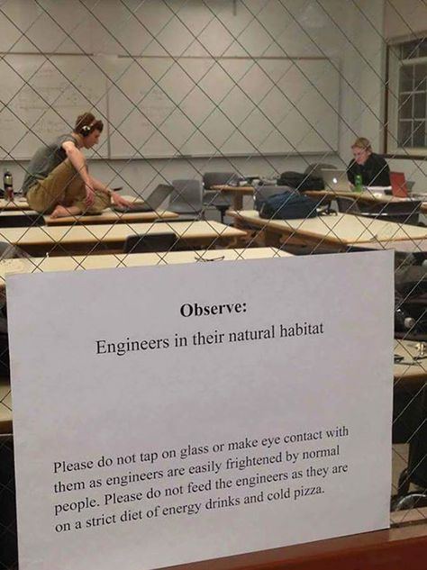 My Uni Has A New Program For Special Students. This Program Has Special 'Caged' Rooms Engineer Humor, Humor Memes, Really Funny Memes, A Sign, Tumblr Funny, Funny Laugh, Funny Posts, Funny Texts, Funny Images