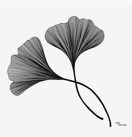 Gingko Art, Ginko Biloba, Chic Tattoo, Geometric Design Art, Leaf Drawing, Lotus Tattoo, Ginkgo Leaf, Flower Tattoo Designs, Line Tattoos