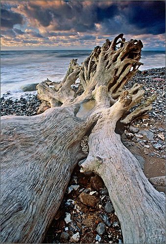 Ansel Adams, Storm Clouds, Driftwood Art, Pics Art, Ocean Beach, Beach Photos, Beautiful Photography, Amazing Nature, Sea Life