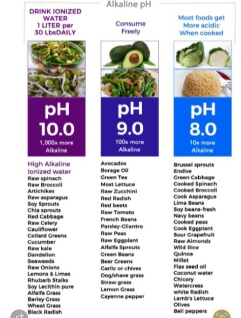 Alkaline Menu Plan, List Of Alkaline Foods, Alkaline Ketogenic Diet, Alkaline Chips, Alkaline Water How To Make, Alkaline Recipes For Beginners, High Alkaline Foods, Alkaline Breakfast Recipes, Alkaline Fruits And Vegetables