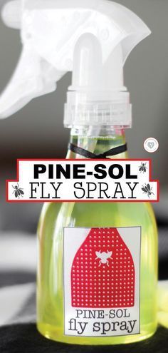 Pine-Sol has such a clean scent that I love for my home! Flies are something I hate to have in my home! This DIY fly spray is a winner that you will need to try. Getting rid of the flies and keeping the home smelling clean and fresh is a breeze with this spray. #diy #cleaning #camping #insect #easy #recipe Diy Fly Spray, Fly Repellant Diy, Homemade Fly Spray, Pine Sol, Diy Bug Spray, Flies Outside, Get Rid Of Flies, Smart School House, Fly Spray