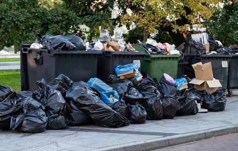 Proper Waste Disposal During an Emergency - Food Storage Moms Emergency Food Storage, Dog Tie, Garbage Bags, Waste Disposal, Garbage Bag, Trash Bags, Large Animals, Pollution, Animal Rescue