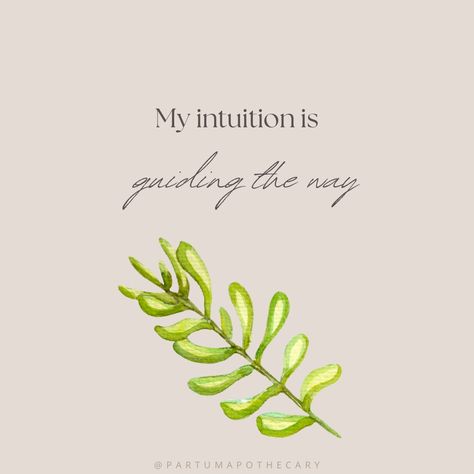 My intuition is guiding the way Manifestation Cards, Birth Affirmations, Boulder Co, Mom Baby, Card Deck, Affirmation Cards, New Mom, Gifts For New Moms, Deck Of Cards