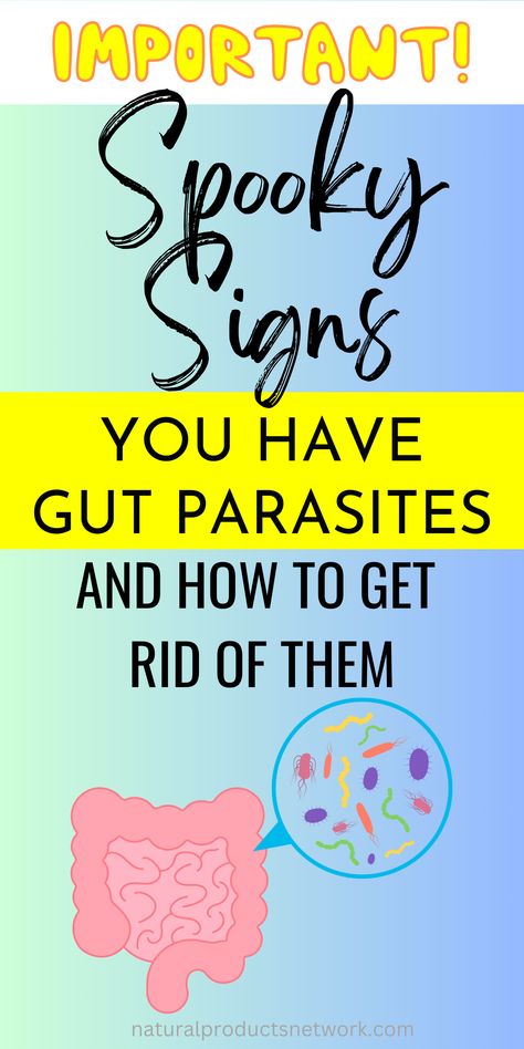 Discover surprising facts about parasite infections! Become an expert on recognizing the spooky signs of a parasite infection and learn how to effectively cleanse parasites! #parasitecleanse How To Do A Parasite Cleanse, Best Parasite Cleanse, Parasite Cleanse For Kids, How To Get Rid Of Parasites In Humans, Parasite Cleanse Recipes, Diy Parasite Cleanse, Natural Parasite Cleanse, Parasite Symptoms, Parasite Pictures