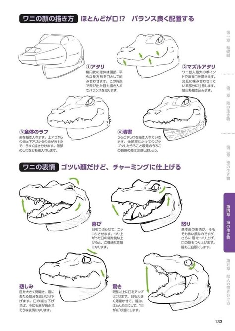 How To Draw Kemono, Crocodile Fursona, Anthro Crocodile, How To Draw Anthropomorphic Animals, Crocodile Character Design, Anthro Anatomy, Crocodile Drawing, Animal Tutorial, Animal Anatomy