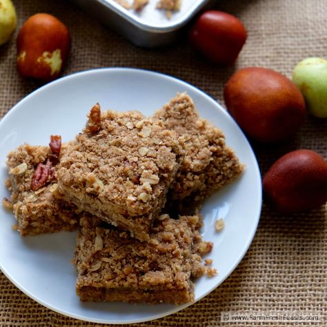 Jujube Butter Oatmeal Bars www.farmfreshfeasts.com Caramel Apple Oatmeal, Jujube Fruit, Oatmeal Bars Recipes, Caramel Apple Bars, Apple Bars, Dairy Desserts, Apple Oatmeal, Apple Trees, Oatmeal Bars