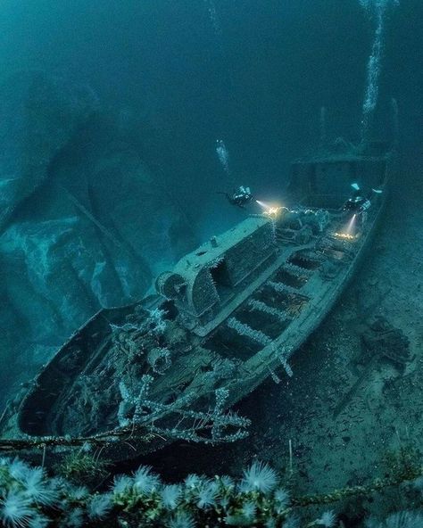 Underwater Shipwreck, Wreck Diving, Marine Archaeology, Underwater Ruins, Sunken Ships, Ship Wrecks, Fauna Marina, The Shallows, Abandoned Ships