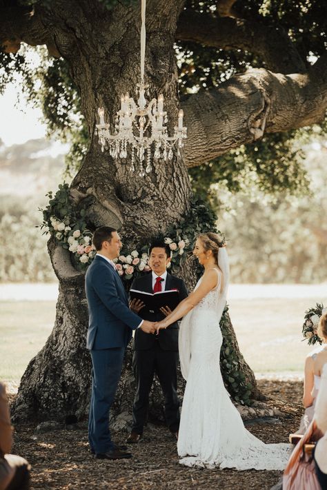 Outdoor Chandelier Wedding, Romantic Floral Arrangements, Heirloom Photography, Alyssa Scott, Tree Wedding Ceremony, French Country Wedding, Barn Wedding Reception, Wedding Chandelier, Santa Ynez