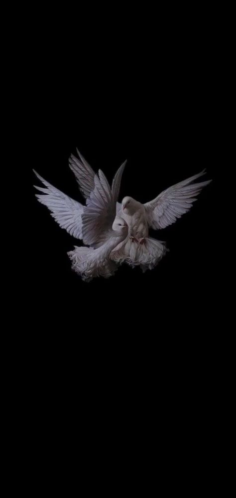 Realistic Iphone Wallpaper, Dove Aesthetic Wallpaper, Kuş Wallpaper, Birds Aesthetic Wallpaper, Bird Wallpaper Iphone, Gothic Wallpaper, Iphone Wallpaper Hd Nature, 다크 판타지, Dark Phone Wallpapers