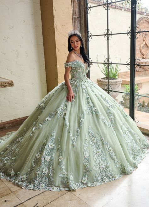 Fairytale Quince, Tiana Quince, Off The Shoulder Corset Dress, Dama Dresses Quinceanera, Princess Tiana Dress, 1500 Dresses, Quinceanera Tiaras, Quinceanera Themes Dresses, Future People