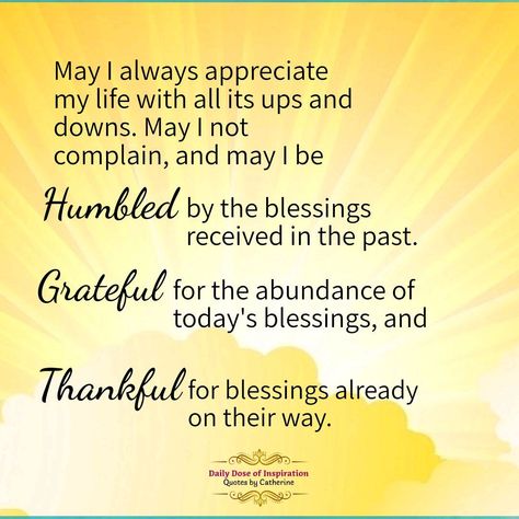 Amen to that 💜💚💜 May I always be grateful for my life, and not complain about the little bumps along the way. ⚘️🌿🖤🙂🖤🙂⚘️🌿    . #thankful #blessed #grateful #life #quotes #BOOMchallenge #quotesbycatherine #dailydoseofinspiration Blessed Assurance Quotes, Sunday Grateful Quotes, Gift Of Life Quotes Gratitude, Gratitude Quotes Thankful I Am Blessed My Life Is, Thank You Blessings Quotes, I'm Grateful For Quotes, Count My Blessings Quotes, Gods Blessings Quotes Inspiration, Grateful Thankful Blessed Quotes Prayer