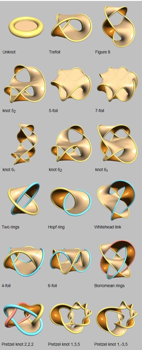 Topological Architecture, Parametric Sculpture, Different Types Of Knots, Form Study, Types Of Knots, Jewelry Illustration, Jewelry Design Drawing, Tanah Liat, Parametric Design