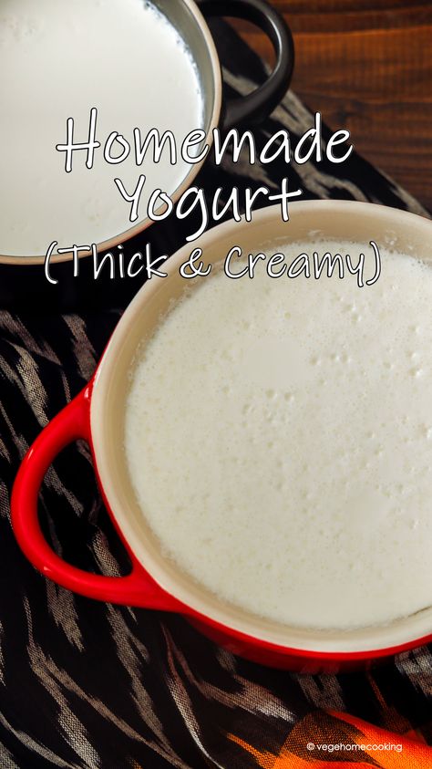 Homemade Yogurt / How To Make Curd or Dahi at Home Yogurt Cheese, Thick Yogurt, Making Yogurt, Homestead Recipes, Eggless Baking, Cold Desserts, Homemade Yogurt, Yogurt Recipes, Freezing Cold