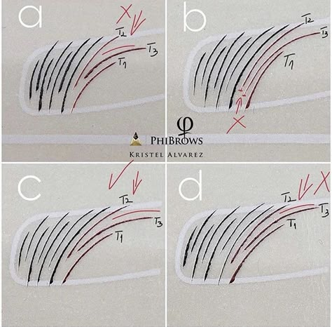 Phi Brows Microblading, Microblading Eyebrows Training, Cosmetic Tattoo Eyebrows, Mircoblading Eyebrows, Phibrows Microblading, Brows Microblading, Permanente Make-up, Best Eyebrow Makeup, Phi Brows