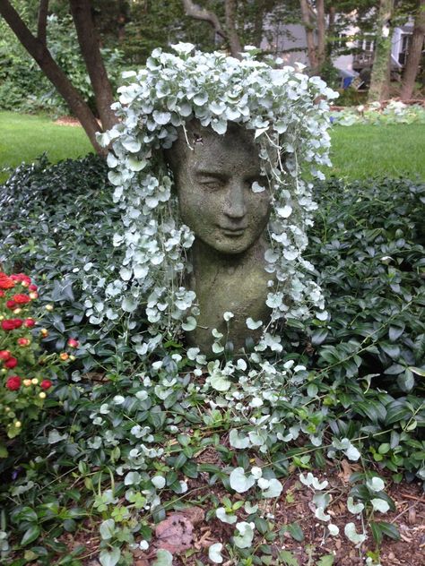 Funny Vine, Face Planters, Head Planters, Garden Types, Garden Containers, Vegetable Garden Design, Plants And Flowers, Garden Art Sculptures, Garden Statues