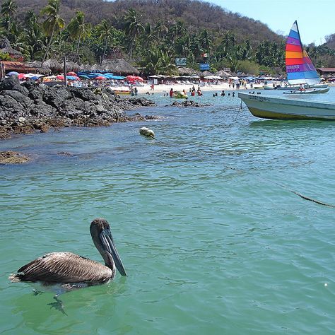 Playa Las Gatas, Zihuatanejo Ixtapa Zihuatanejo, Mexico Trip, Mexico Travel, Snorkeling, Places Ive Been, Beautiful Places, Favorite Places, Travel