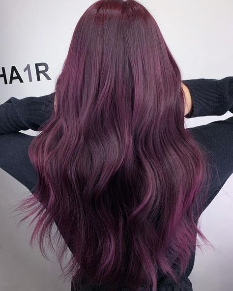 Plum Purple Hair, Purple Blonde Hair, Pelo Color Vino, Violet Hair Colors, Red Blonde, Plum Hair, Hair Color Underneath, Wine Hair, Red Hair Inspo