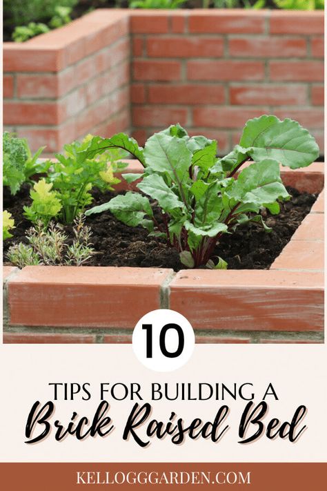 Making A Brick Raised Garden Bed | Kellogg Garden Organics™ Raised Landscaping Beds, Brick Raised Garden Beds, Brick Raised Beds, Brick Flower Bed, Brick Planter, Brick Yard, Building Raised Garden Beds, Recycled Brick, Raised Flower Beds