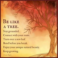 Be like a tree. Stay grounded. Connect with your roots. Turn over a new leaf. Bend before you break. Enjoy your unique natural beauty. Keep growing. Citation Nature, Pooh Quotes, Positive Quotes For Life, Nature Quotes, Positive Life, New Leaf, Wise Quotes, The Words, Great Quotes