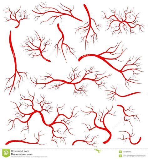 Red Veins, Art Assignments, Body Adornment, Meaningful Art, School Art Projects, Funny Drawings, Creative Illustration, Tattoo Design Drawings, Anatomy Art