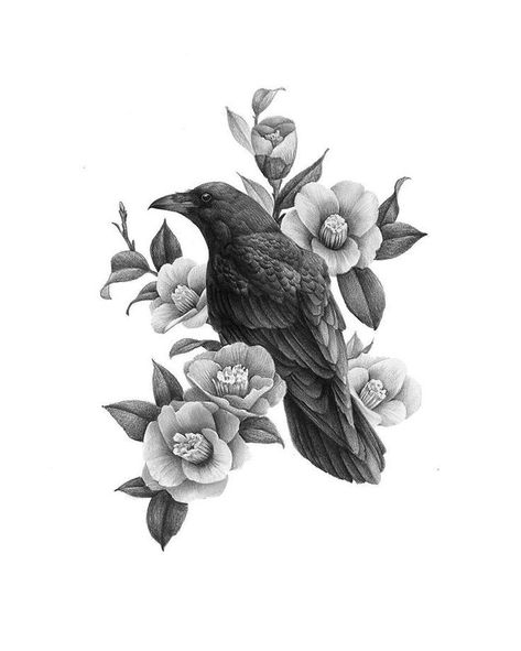 Money Symbol, Rabe Tattoo, Crow Tattoo Design, Vogel Tattoo, Petit Tattoo, Illustration Tattoo, Crow Tattoo, Raven Tattoo, Raven Art